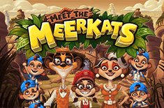 Meet The Meerkats