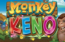 Monkey Keno